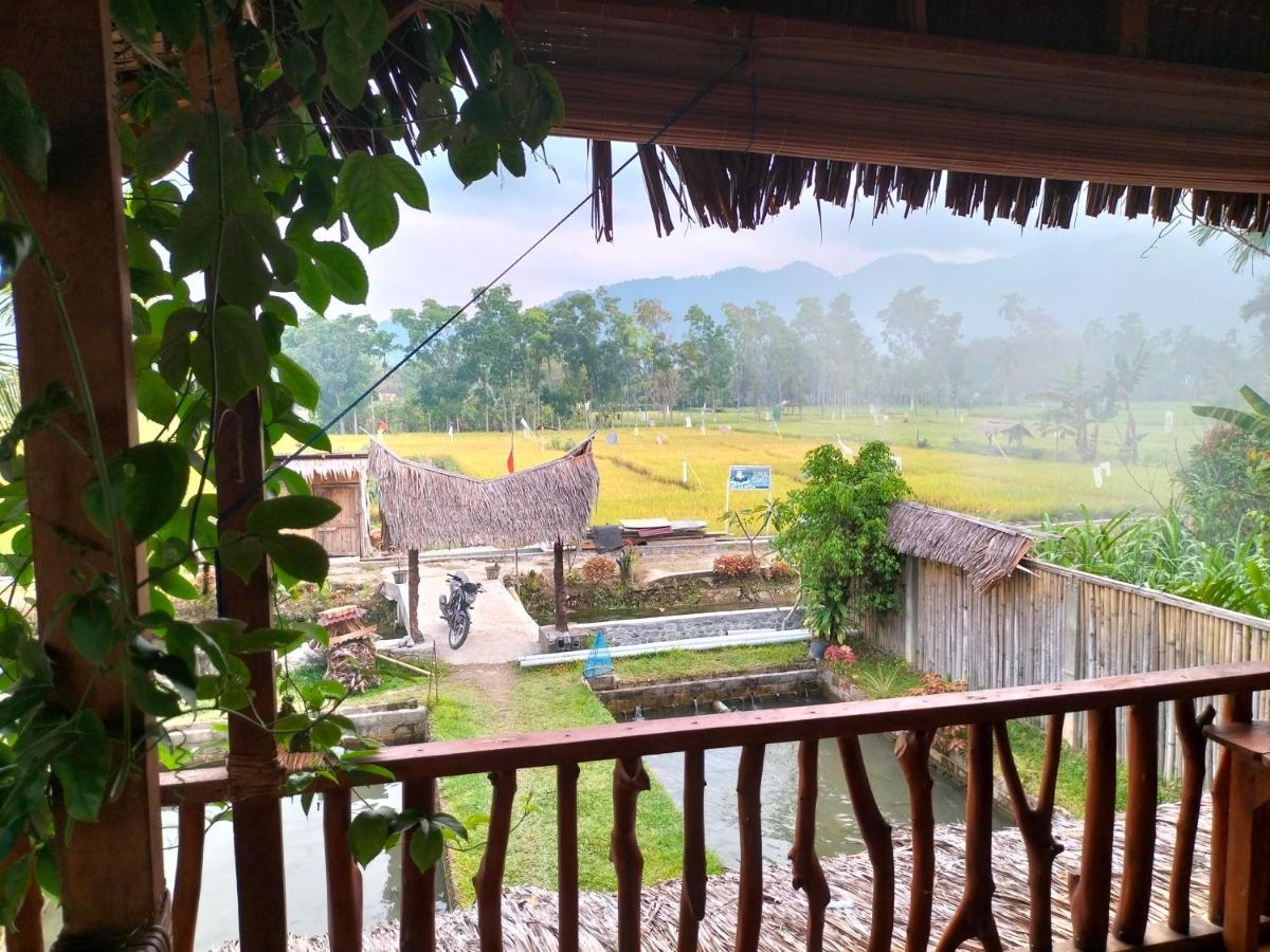 Sumatra Expedition Lodge Bukit Lawang Eksteriør billede