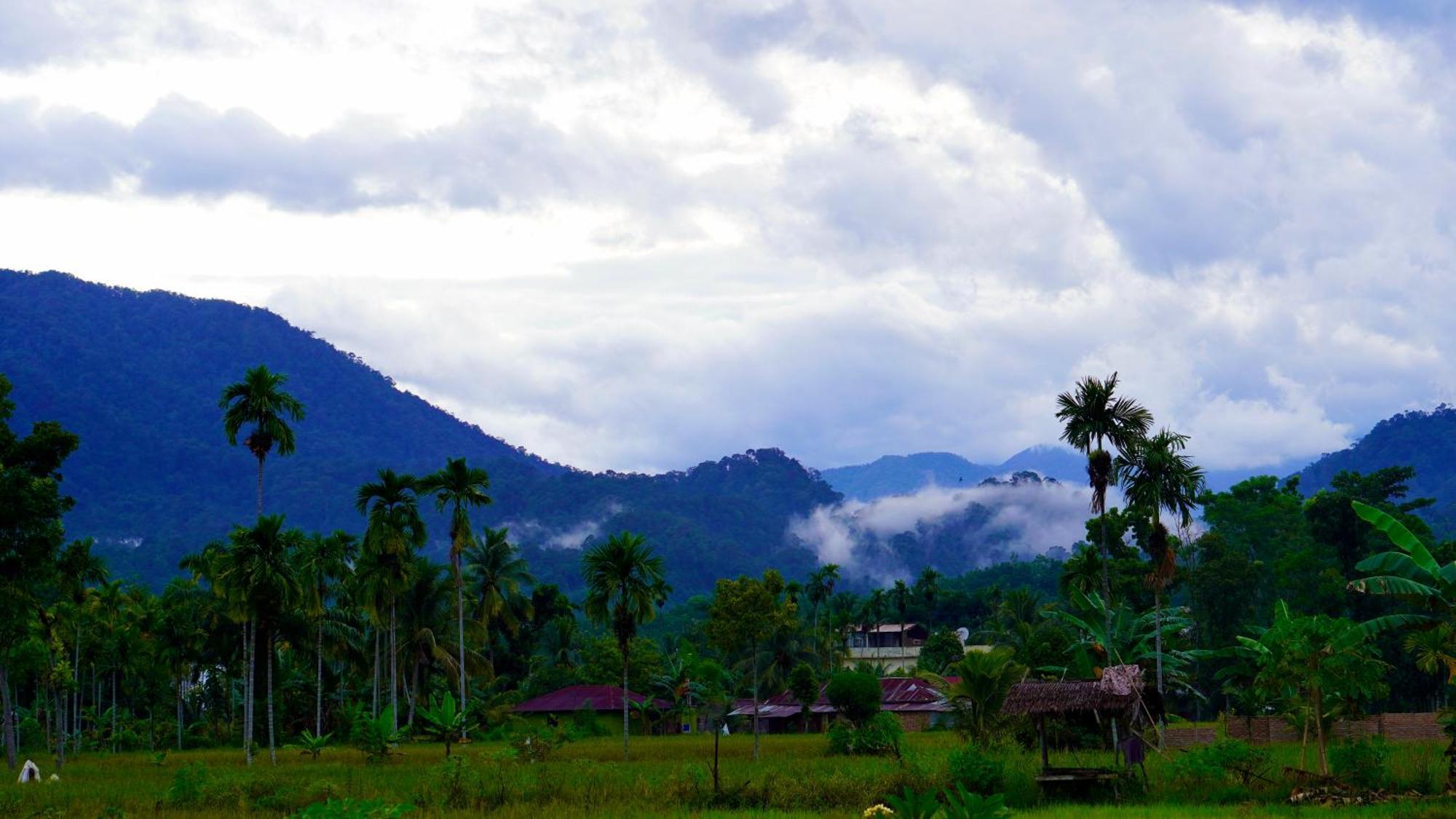 Sumatra Expedition Lodge Bukit Lawang Eksteriør billede