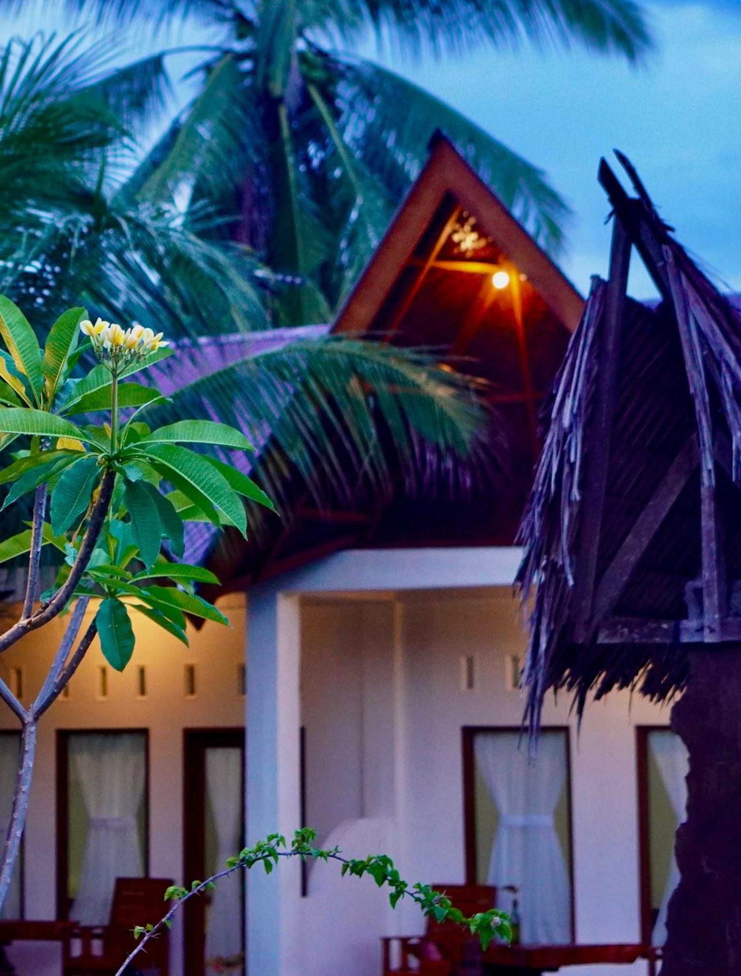 Sumatra Expedition Lodge Bukit Lawang Eksteriør billede
