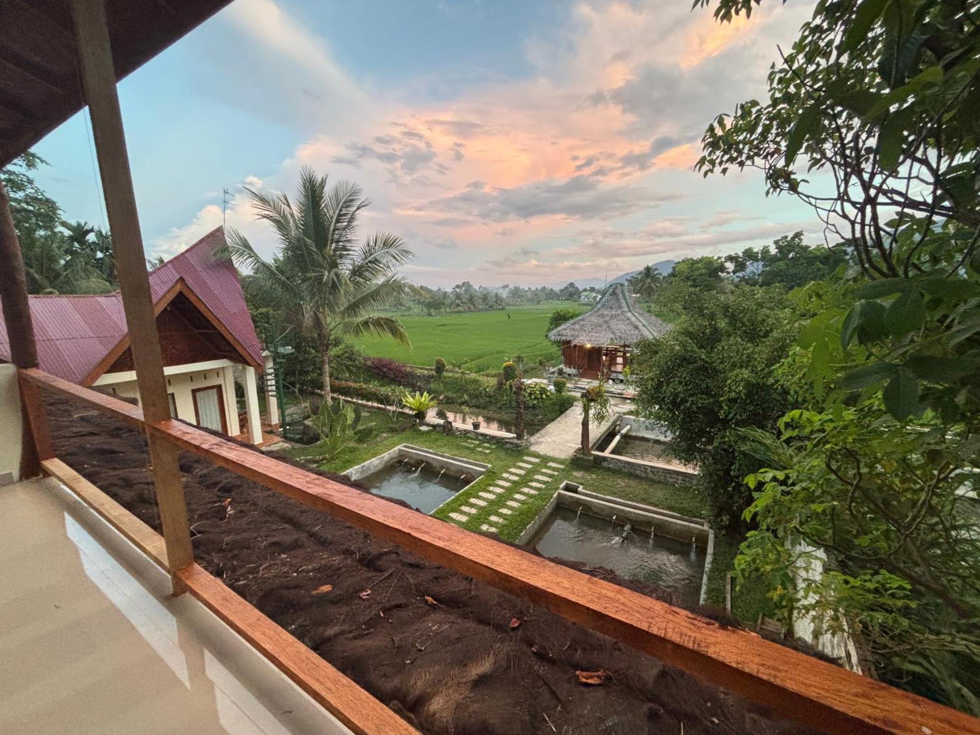 Sumatra Expedition Lodge Bukit Lawang Eksteriør billede