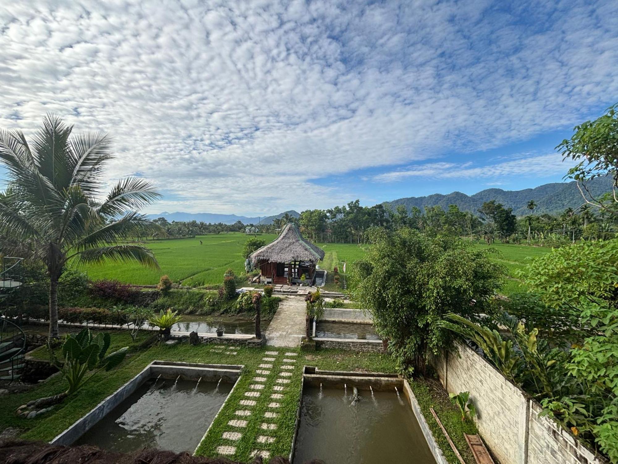 Sumatra Expedition Lodge Bukit Lawang Eksteriør billede